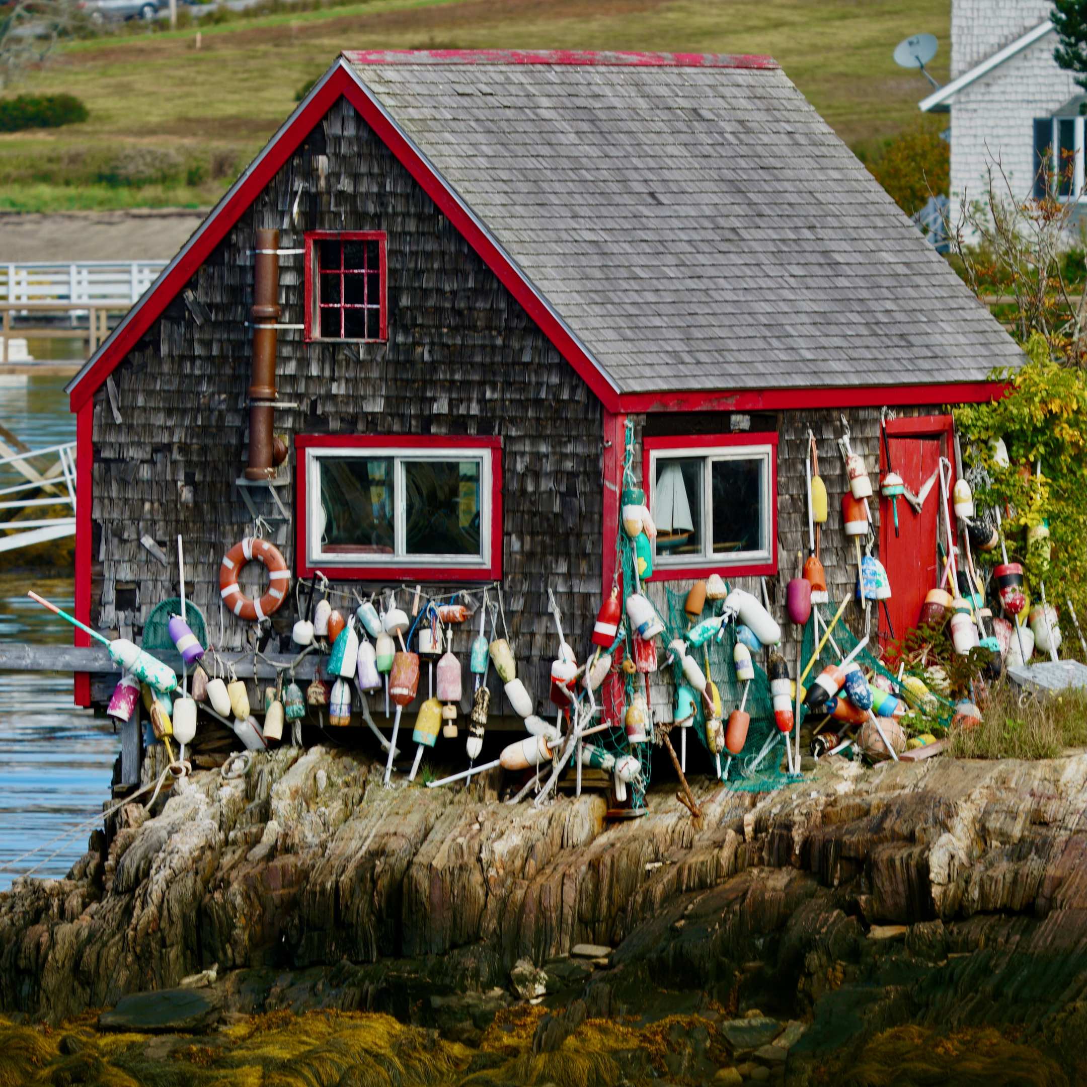 Coastal landscape